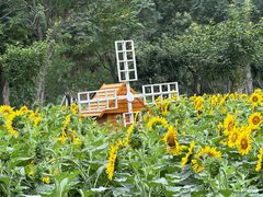 -廊坊文化艺术中心