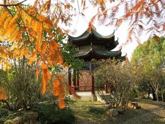 -月湖风景区