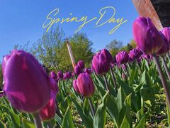 -长春公园(普阳街道)