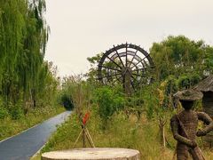 -溱湖国家湿地公园