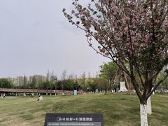 -府河摄影公园
