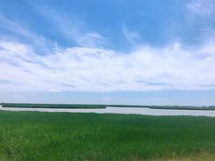 -哈素海