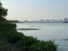 -长广溪湿地公园
