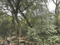 -兰亭风景区