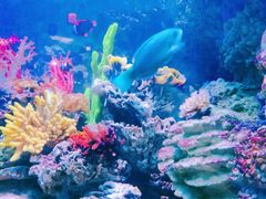 -海合安青岛极地海洋公园