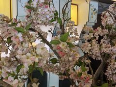 -儒之堂足道·推拿·SPA(安徽安庆店)