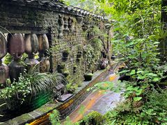 -青城甲(青城山店)