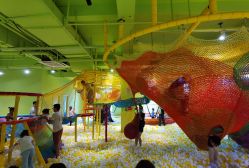 点击看大图 -宝燕乐园(闵行旗舰店)