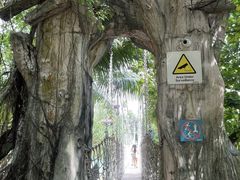 -巴拉湾海滩