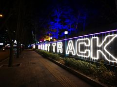 -枫花园汽车电影院(朝阳公园店)