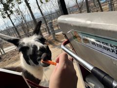 -南京金牛湖风景区