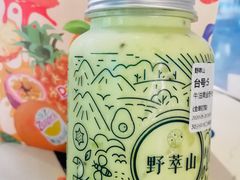 -野萃山·潮汕厚果汁(十亩地店)