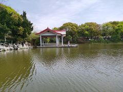 -太子山公园(园东路)