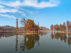 -贡湖湾湿地公园