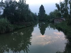 -白鹭湾湿地公园