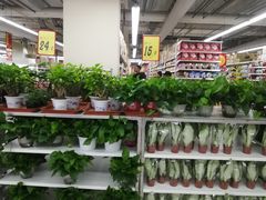 -大润发(西红门店)
