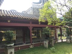 -碧江金楼