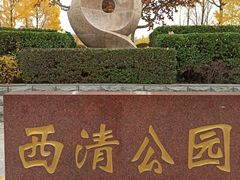 -西清公园