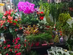 -中环花鸟鱼虫市场
