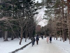 -北海道神宫