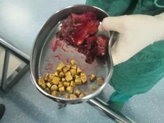 -武汉大学人民医院(首义院区)