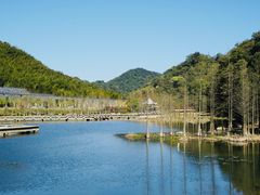 -广州市石门国家森林公园