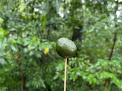 -宝晶宫旅游景区