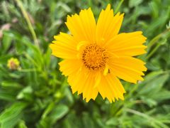 -嬉子湖生态旅游区