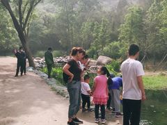 -白水寺森林公园