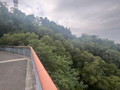 -金鸡山公园