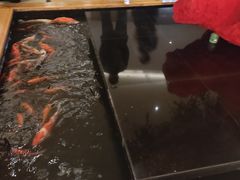 -月龍吟(朝龙汇店)