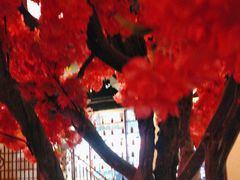 -探花·意境江南菜·唐伯虎文化体验店·松鼠桂鱼(观前店)