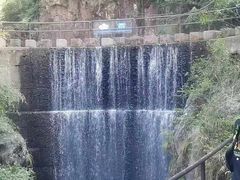 -大奇山国家森林公园