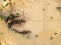 豆腐鲫鱼汤-莉莉家的音乐花园餐吧(航空路店)