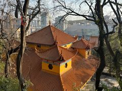 -宝通禅寺