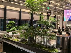 -谭厨中山传家菜.乳鸽.脆鲩鱼(华强北中航城店)