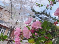 -苏州公园(双塔街道)