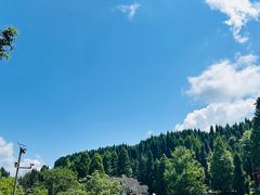 -武陵山森林公园