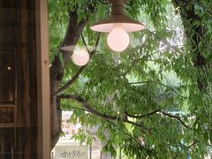 -春风习习