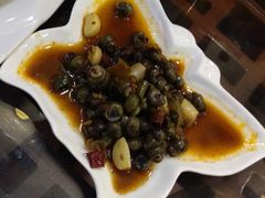 酱爆螺丝-梦江南