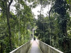 -保利石象湖景区