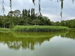 -大兴滨河森林公园