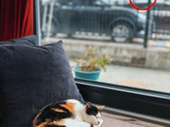 -转山咖啡(松柏社区店)