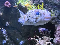 -杭州长乔极地海洋公园