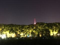 -月湖风景区