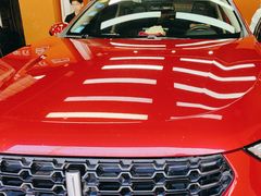 -天猫养车贴膜轻改·蓝电(优匹康桥东路店)