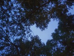 -南昌青山湖风景区