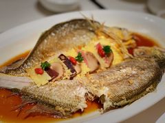 -香港狮子山下·明星粤菜餐厅(北苑店)