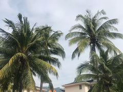 -三亚亚龙湾雅高美爵酒店