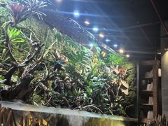 -玖壹咖啡(临河街店)